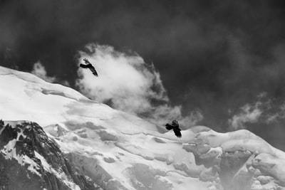 两只鸟在冰川山上空飞行的灰度照片
